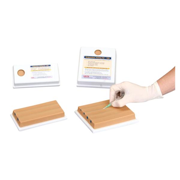 Venipuncture Training Model Ea
