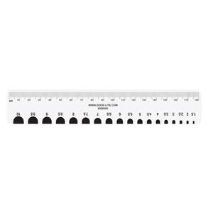 Pupilometer Ruler Plastic Each