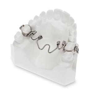 Molar Rotator Size 34mm 2/Pk