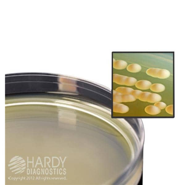 Malt Extract Agar For Culture Media 26mL 10/Package