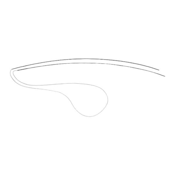Canaliculus Intubation Set Round With Probes/Tubing