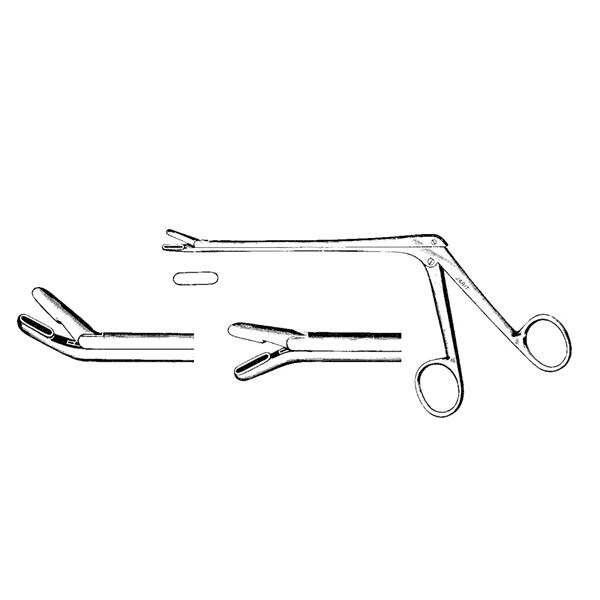 Love-Gruenwald Pituitary 3x10mm Each