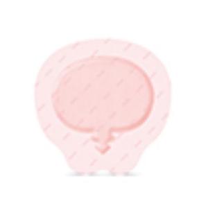 Allevyn Life Silicone/Foam Wound Dressing 9x9-1/8" Sterile Slcn Adh Pnk