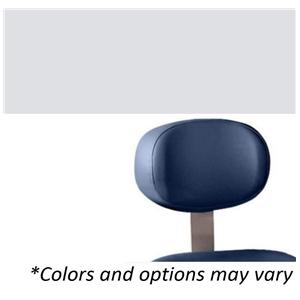 425/427 Back Kit Mist