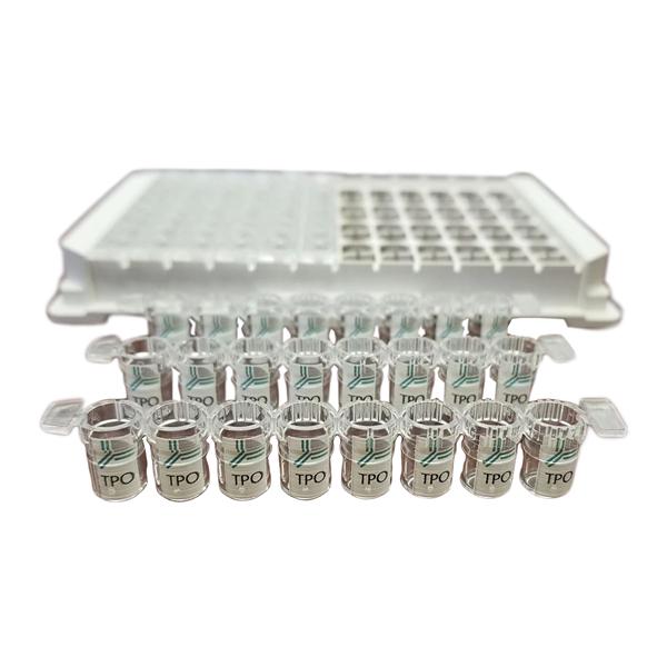 ELISA: Enzyme-linked Immunosorbent Assay 1/Kt