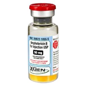 Amphotericin B Injection 50mg/vl Powder Vial 10mL Each