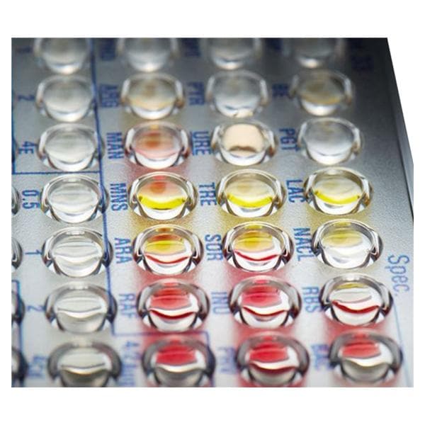 Microscan Negative/Urine Combo 85 Panel Ea