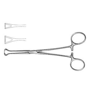 Babcock Tissue Forcep 8" Ea