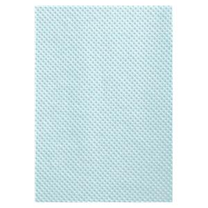 Patient Bib 2 Ply Tissue / Poly 13.5 in x 18 in Blue Disposable 500/Ca