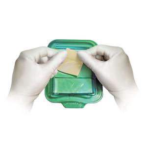 Omnigraft Regeneration Matrix Wound Matrix 4x4cm Sterile Square Natural Ea