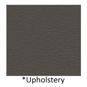 Upholstery Kit For 550 Procedure Chair Gunmetal