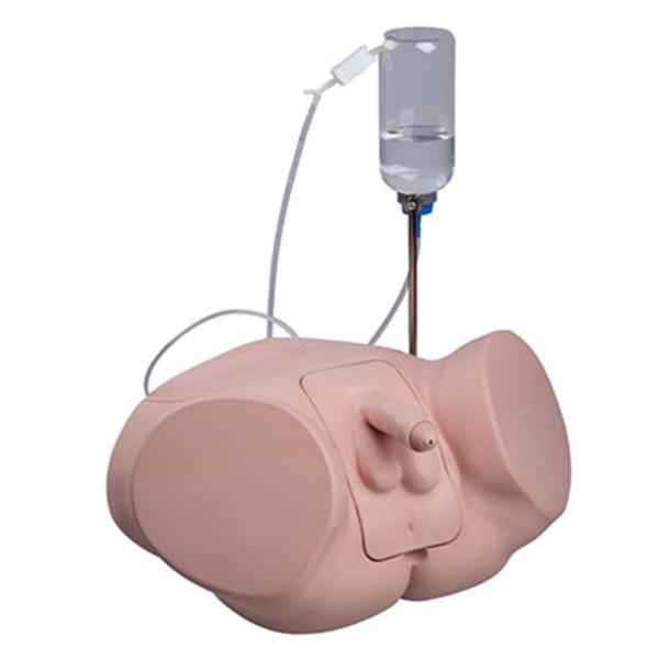 Genetalia Training Male Simulator Ea