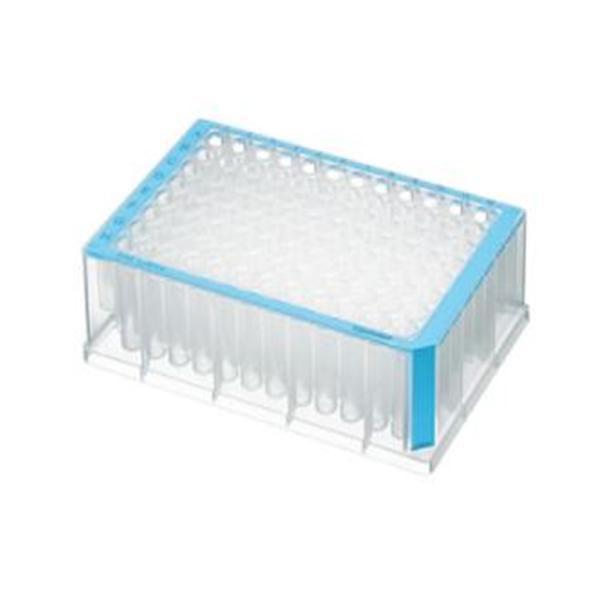 Deepwell Plate Polypropylene Clear/Blue 96/1000uL 20/Pk