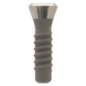 infinity Octagon Regular Platform Implant 3.3 mm 10 mm Ea