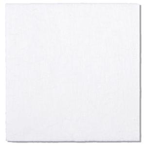 Hydrograbbber Absorbent Floor mat 40x28" Medium Asorbency/No Backing/White