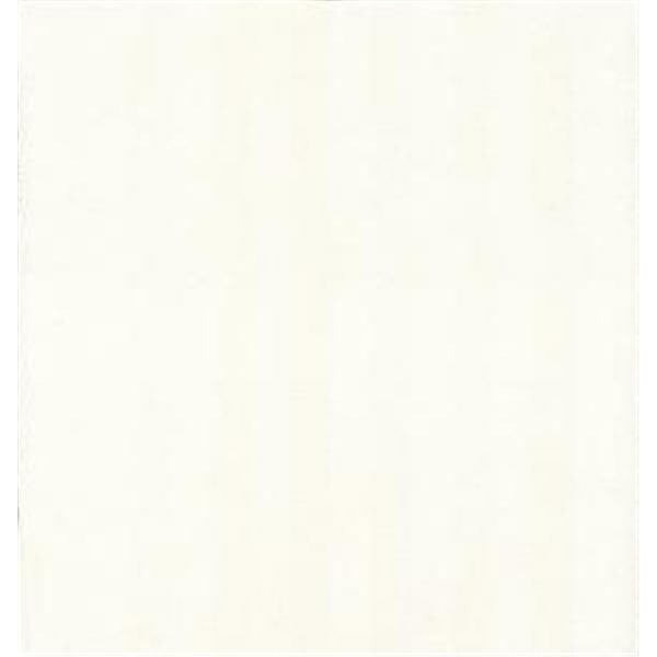 Cubicle Curtain Antimicrobial White Ea