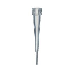 Fisherbrand SureOne Pipette Tip Non-Sterile 1000/Pk