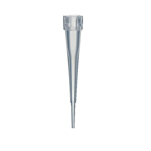Fisherbrand SureOne Pipette Tip Non-Sterile 1000/Pk