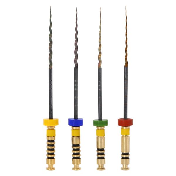 Edge Evolve Endo File 29 mm Nickel Titanium Assorted Assorted 4/Pk