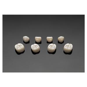 ACERO Zirconia Crowns 1st Primary Upper Right Molar 1/Bag Ea