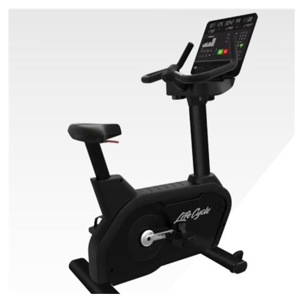 Aspire Series Upright Bike Arctic Silver