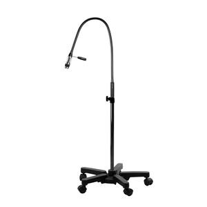 Examination Light
