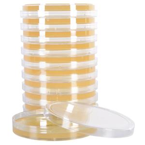 Culture Sabouraud Dextrose Agar  10/Pk