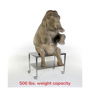 Work Table New Stainless Steel 500lb Capacity