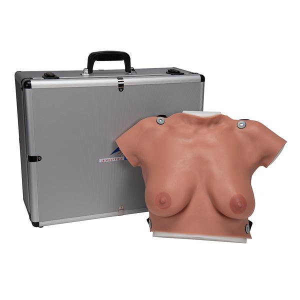 Breast Self Examination Breast Exam Model Ea