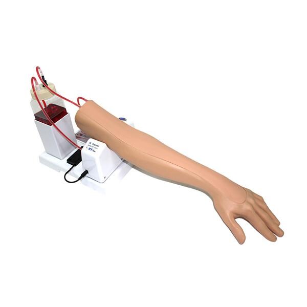 Intravenous Arm Adult Unisex Simulator Ea
