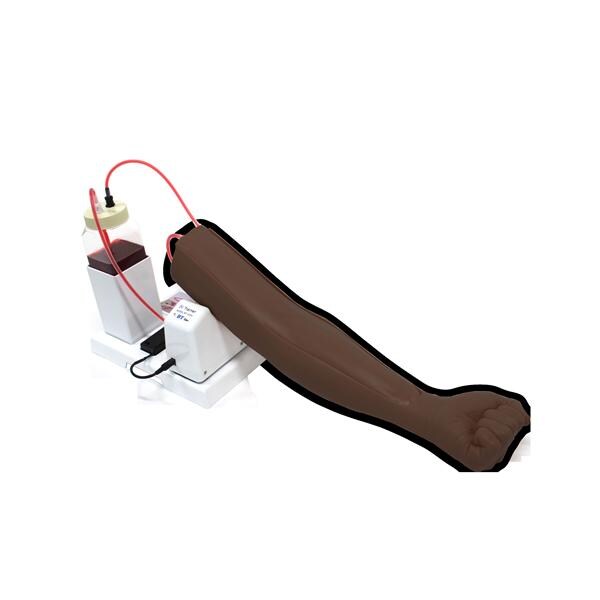 Intravenous Arm Adult Unisex Simulator Ea