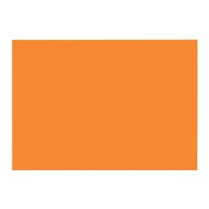 Label Single Ply Orange 1000/Roll 24Rl/Bx 24Rl/Bx
