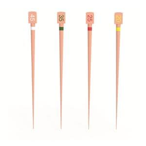 Genius Gutta Percha Points A4 60/Pk