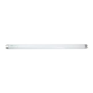 Bulb Ea