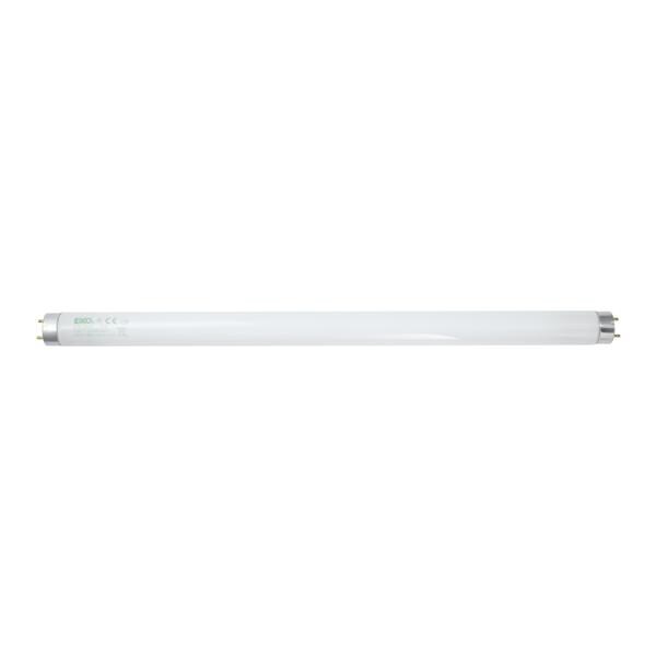 Bulb Ea