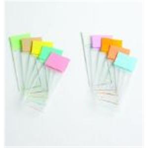 ColorFrost Microscope Slide 1440/Case