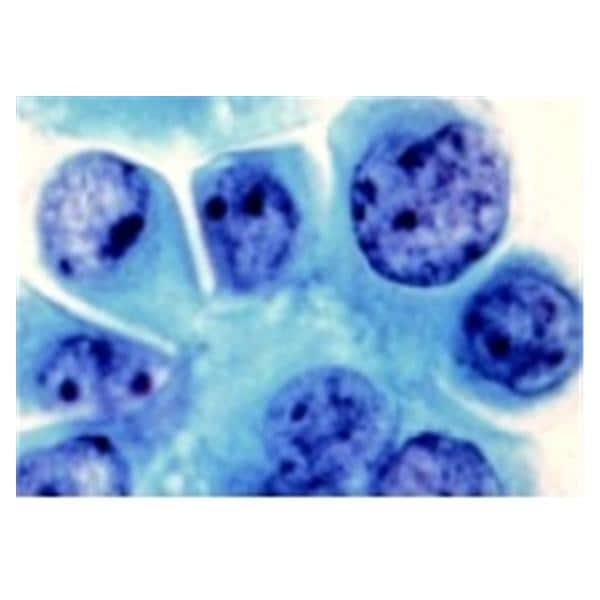 Wright-Giemsa Stain For Treating Stains Bottle 1/Ca