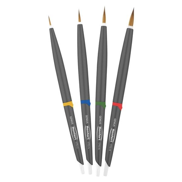 Genius Ceramist Brush Natural Bristle Set Assorted 4/st