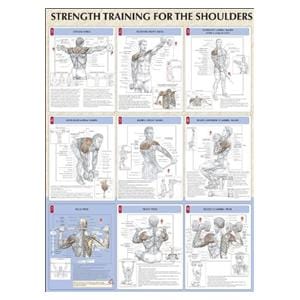 Poster Instructional Strength Training for the Shoulders 24x31" E...