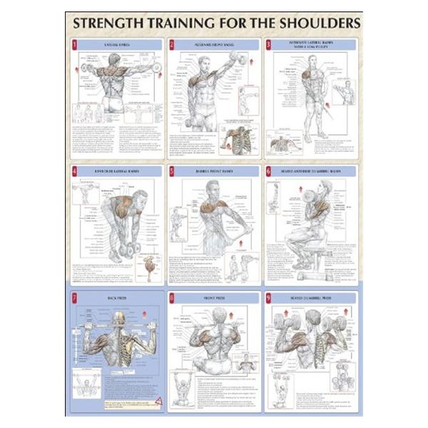Poster Instructional Strength Training for the Shoulders 24x31" E...