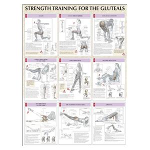 Poster Instructional Strength Training for the Buttocks 24x31" Ea...