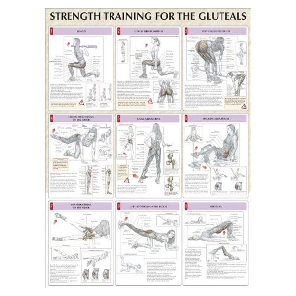 Poster Instructional Strength Training for the Buttocks 24x31" Ea...