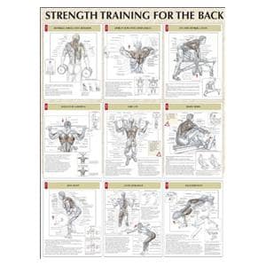 Poster Instructional Strength Training for the Back 24x31" Each