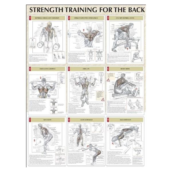 Poster Instructional Strength Training for the Back 24x31" Each