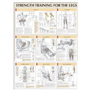 Poster Instructional Strength Training for the Legs 24x31" Each
