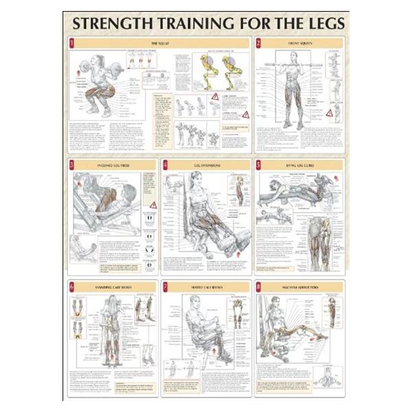 Poster Instructional Strength Training for the Legs 24x31" Each