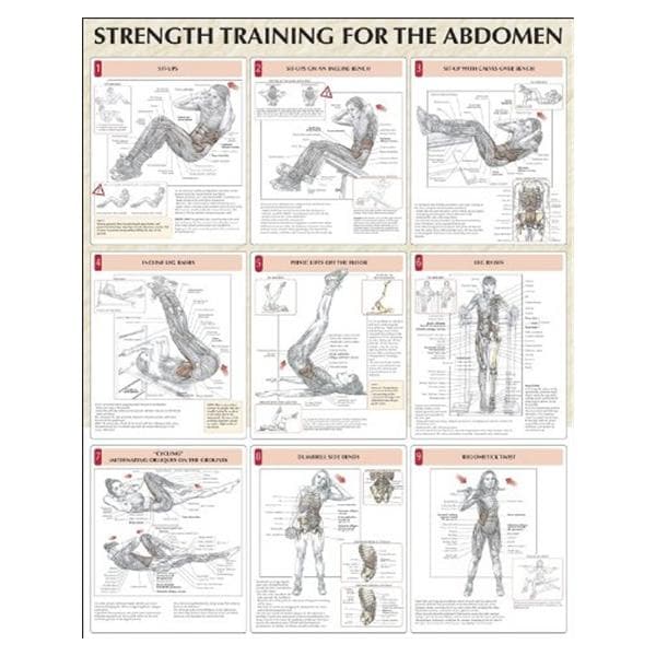 Strength Training for the Abdomen Instructional Poster 24x31" Eac...
