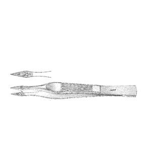 Walter Splinter Forcep Straight 4-1/8" Ea