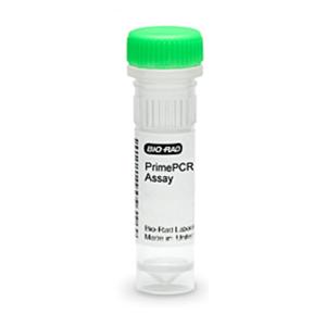 Multiqual Custom Assayed Chemistry Level 1 Control 12x3mL 12/Bx