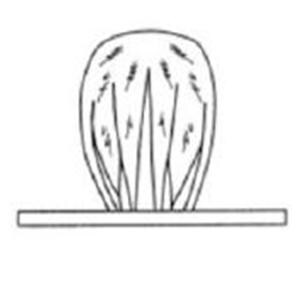 Light Handle Cover For Short Handles 50/CA